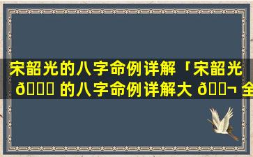 宋韶光的八字命例详解「宋韶光 🐋 的八字命例详解大 🐬 全」